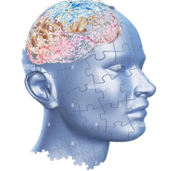 IJCAICP Journal Publication